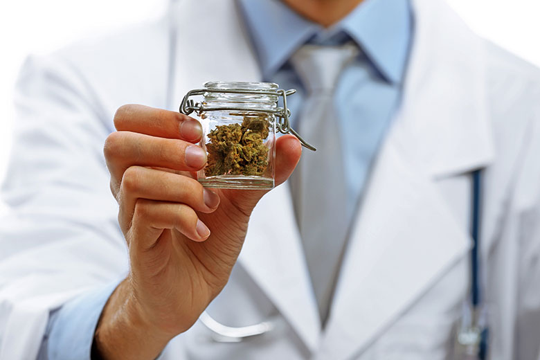 Schedule an Appointment with Our Medical Marijuana Doctors Today.